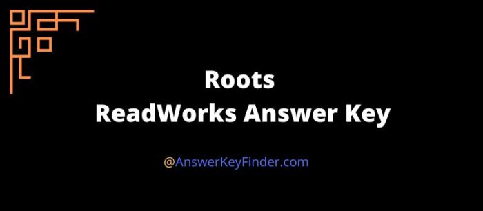 Rally for access readworks answer key