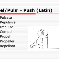 Words with the root word pel