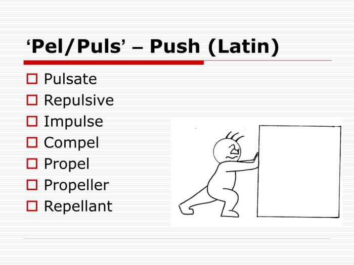 Words with the root word pel