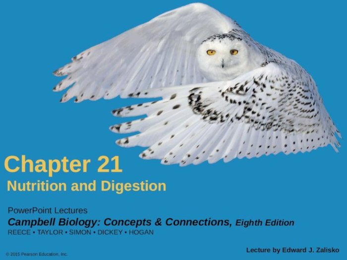 Campbell biology concepts edition connections global pdf 8th reece masteringbiology pearson jane ebook martha taylor simon dickey eric jean textbook