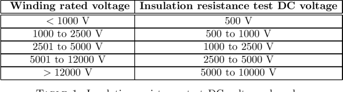 Polarization index testing motor