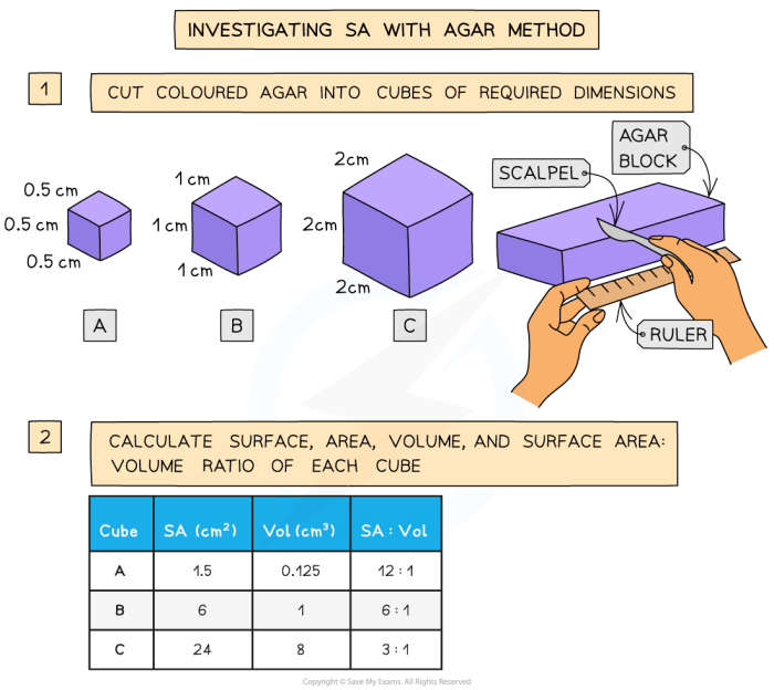 Network investigating settings connection