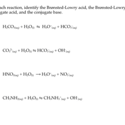 Bronsted lowry acid examples definition base reaction label study example reactant each between lesson nh3 look hcl hydrochloric amp ammonia